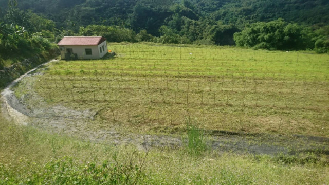 南投中寮農牧用地,南投縣中寮鄉內城巷