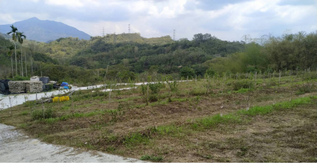 南投中寮農牧用地,南投縣中寮鄉內城巷
