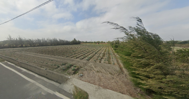 大城美田,彰化縣大城鄉美豐段